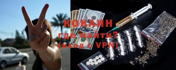 крисы Козловка