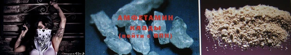 крисы Козловка
