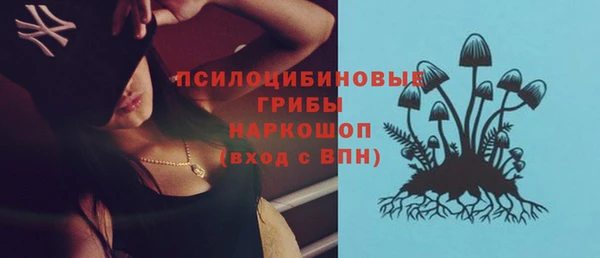 стаф Костерёво