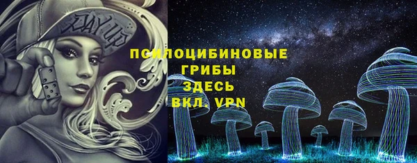 крисы Козловка