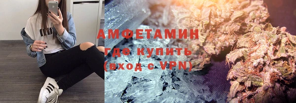 крисы Козловка