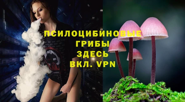 крисы Козловка
