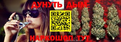 СК Коломна
