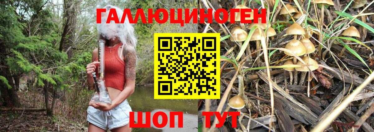 Красноперекопск  Псилоцибиновые грибы Cubensis  Вход с VPN 